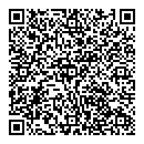 QR код "Кот-бегемот"