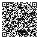 QR код "Феникс"