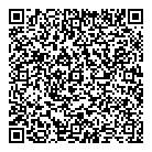 QR код "ДНС"