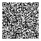 QR код "ДНС"