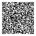 QR код "ДНС"