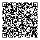 QR код "Алсу"