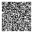 QR код "Алсу"