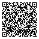 QR код "Лавина"