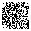 QR код "Art"