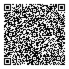 QR код "Профессионал"
