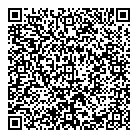 QR код "Nefertiti"
