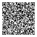 QR код "Звездный"