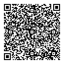 QR код "Блеск"
