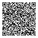 QR код "Блик"