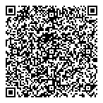 QR код "Барс Синтез"