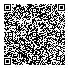 QR код "Ирвис"