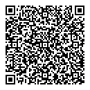 QR код "Бизон"