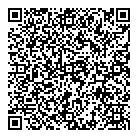 QR код "Профессионал"