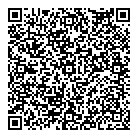 QR код "Белый лебедь"