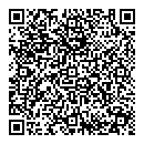 QR код "Алсу"