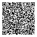 QR код "Сатурн"