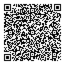 QR код "Алсу"