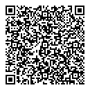 QR код "Ночной"