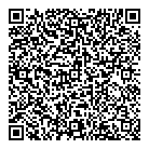 QR код "Спутник"