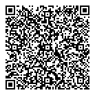 QR код "Спутник"