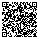 QR код "Авиатор"