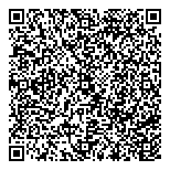 QR код "Алсу"