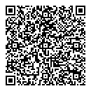 QR код "Созвездие"