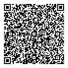 QR код "Домино"