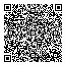 QR код "Янус"
