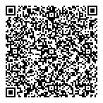 QR код "Дэлфин"