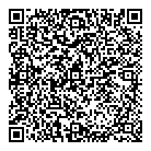 QR код "Созвездие"