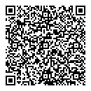 QR код "Пчелка"