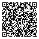 QR код "Спутник"