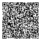 QR код "DSD Store"