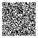 QR код "Дон Кихот"