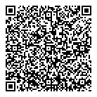 QR код "Динамо"