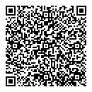 QR код "Снейк"