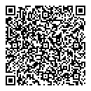 QR код "Аполлон"