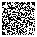 QR код "Василиса"