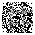 QR код "ДВ Логистик"