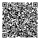 QR код "Домино"