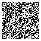 QR код "Глобус"