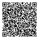 QR код "Глобус"