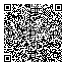 QR код "Глобус"