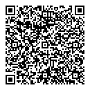 QR код "Глобус"