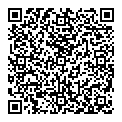 QR код "Тэсла"