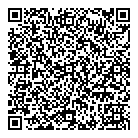 QR код "Профессионал"