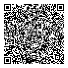 QR код "Спутник"