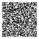 QR код "ДВТК"
